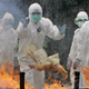 Illustration for article titled The Deadliest Potential Pandemics Facing The World Right Now